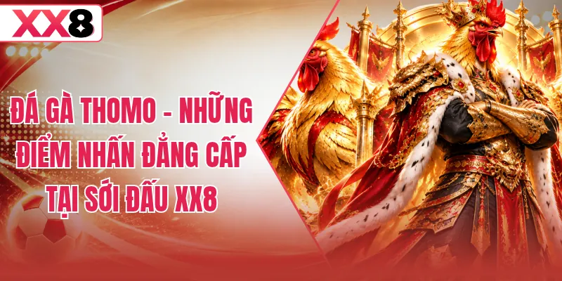 Đá Gà Thomo - Những Điểm Nhấn Đẳng Cấp Tại Sới Đấu XX8